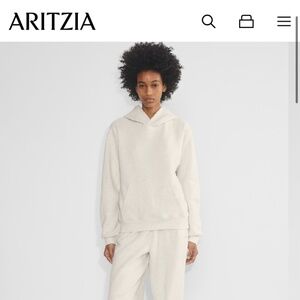 Aritzia Perfect Fit Hoodie